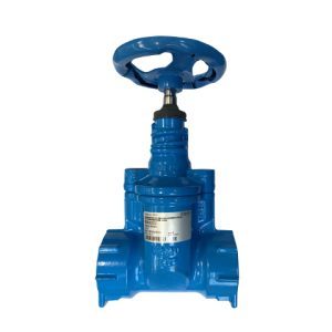 VSFF025 Hawle Service Valve